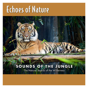 左妻右妾网站地址在线观看
